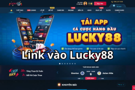 Lucky88: An Toàn Và Bảo Mật Khi Cá Cược